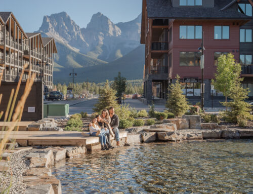 Community Spotlight: Spring Creek